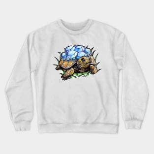 Watercolor drawing "Turtle with sapphire shell" Crewneck Sweatshirt